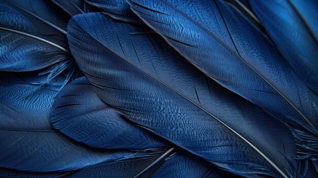 Vue détaillée d'une plume bleu marin mettant en valeur sa texture complexe et sa couleur vibrante