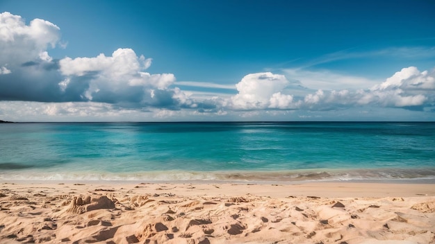 Vue de devant de la plage avec du sable et des nuages