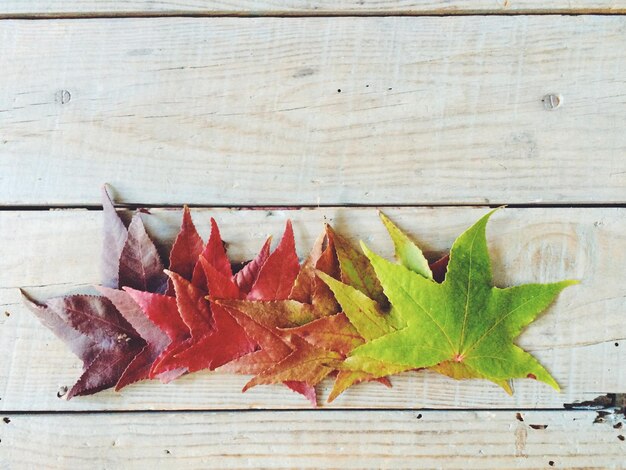 Photo vue directement au-dessus des feuilles d'automne sur la table