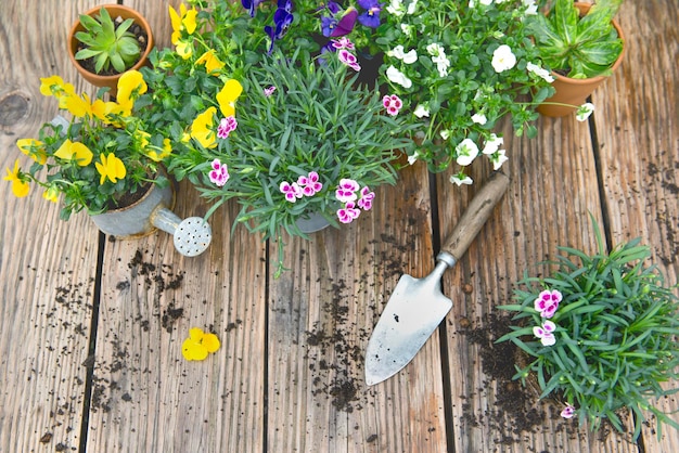 Photo vue directement au-dessus sur des fleurs de printemps colorées dans un pot de fleurs avec une pelle et de la saleté sur une table en bois