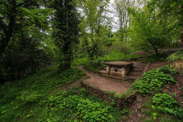 Vue sur le dolmen dans le parc supérieur de l'arboretum de Sotchi Sochi Krasnodar Krai Russie