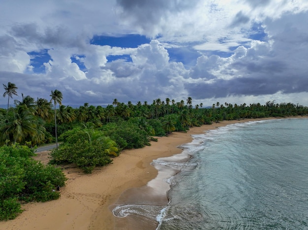 Vue de drone sur une île tropicale