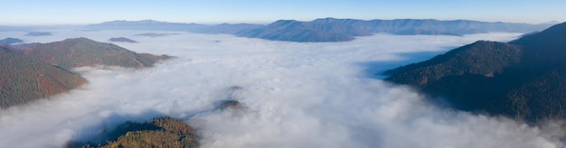 Photo vue de drone, panorama de paysage de montagne d'automne. cimes d'automne jaune feuillus et conifères sur le brouillard. vue drone.