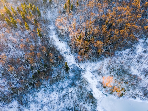 Vue de drone d'une rivière avec un lac glacé sur une plaine forestière enneigée pendant un clair matin d'hiver