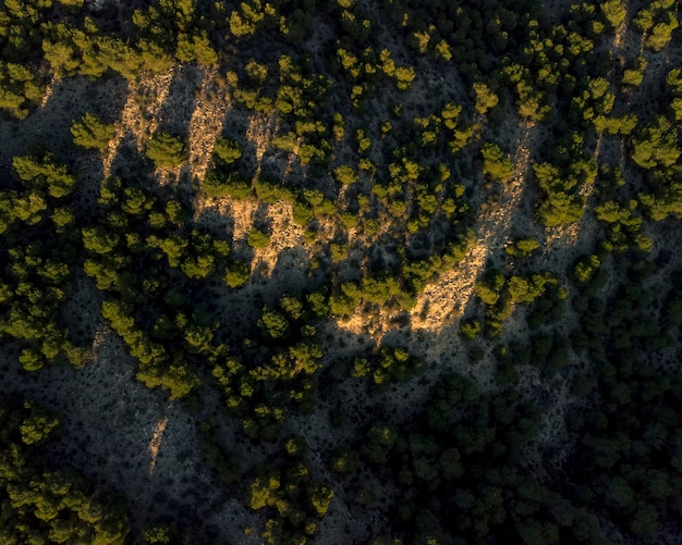 vue de drone d'une route entourée d'arbres sur un paysage de montagne pour fond d'écran