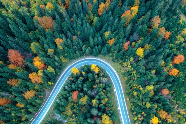 Vue de drone d'une route de montagne dans une forêt d'automne