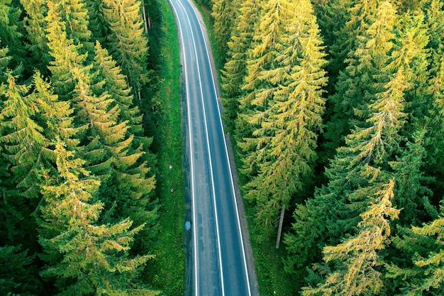 Vue de drone d'une route de montagne dans une forêt d'automne