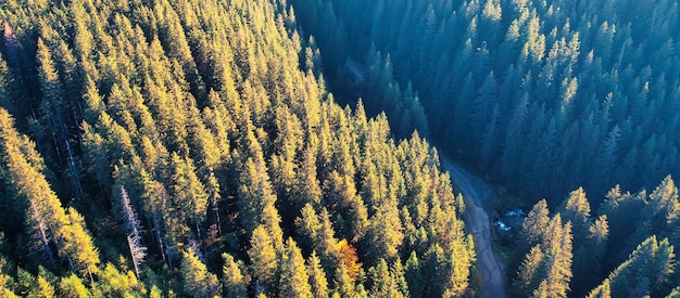 Vue de drone d'une route de montagne dans une forêt d'automne