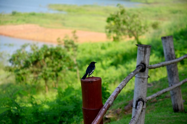 Photo vue du barrage de kaeng krachan