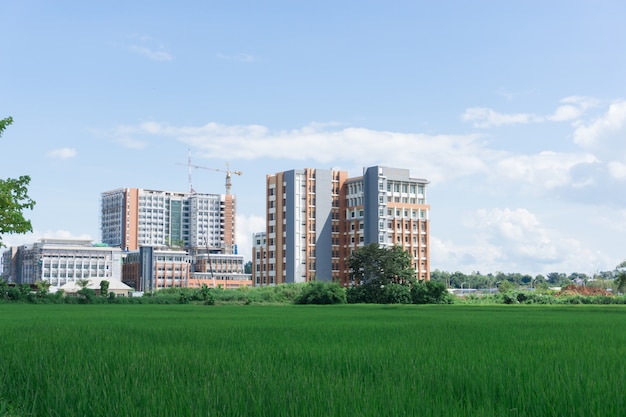 Vue du bâtiment de chantier entre la rizière, le bâtiment de l&#39;hôpital.