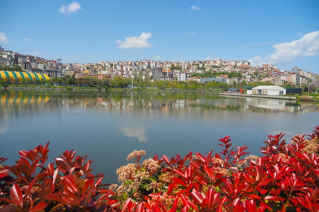 Vue du Bosphore à Istanbul en Turquie