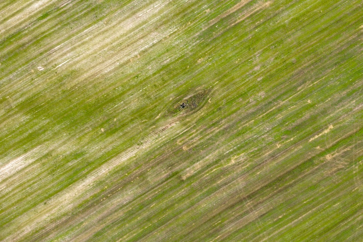 Photo vue du champ agricole semé d'en haut