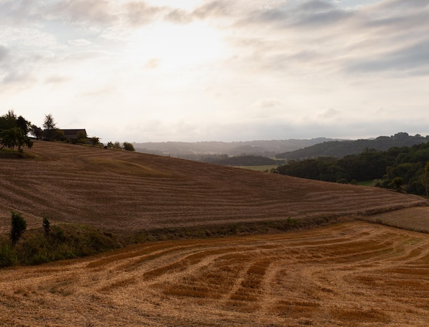 Vue du champ le long du Chemin du Puy Route française du chemin de Saint-Jacques