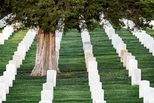 Photo vue du cimetière