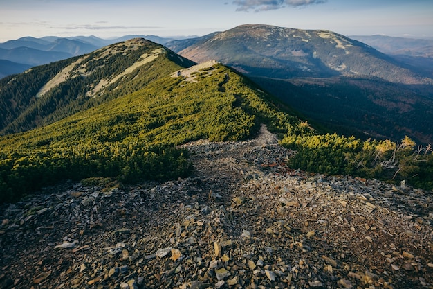 Une vue du flanc d'une montagne