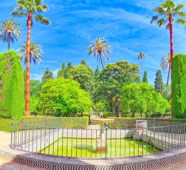 Photo vue du grand et beau jardin - jardins de l'alcazar royal de séville et galerie de la grotte