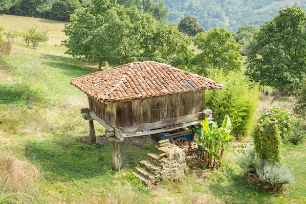 Vue du grenier typique des Asturies, en Espagne, élevé par des piliers en pierre et connu sous le nom de "horreo"