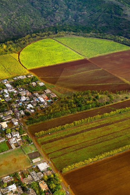 Photo vue du haut des champs semés situés sur l'île maurice.