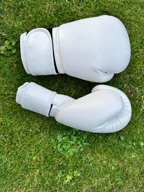 Photo vue du haut des gants de boxe blancs sur l'herbe verte