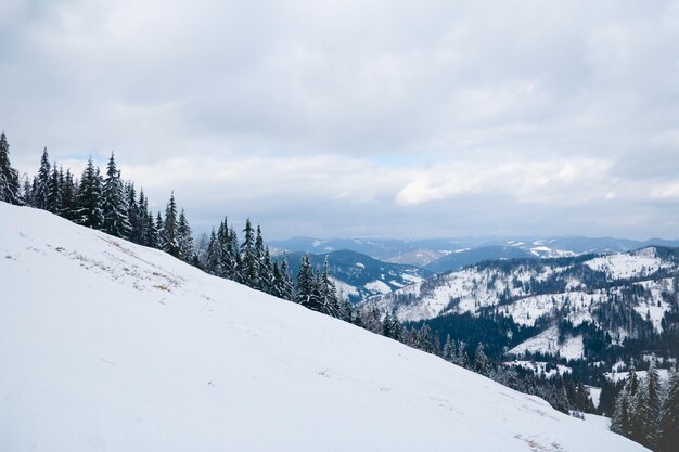 Vue du haut de la montagne sur la forêt dans le gel et les nuages bas