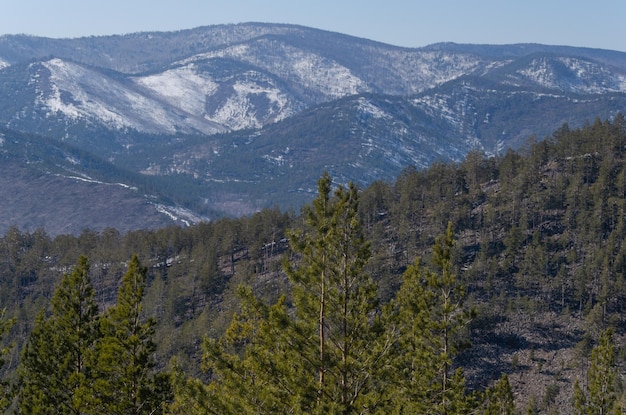 Vue du haut des montagnes enneigées Autour des pins de la forêt de conifères