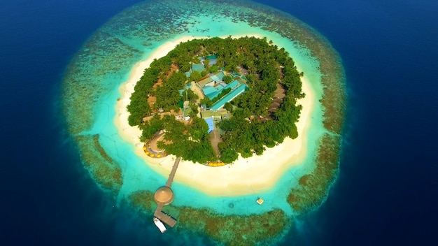 Vue du haut sur la plage de sable des palmiers des Maldives