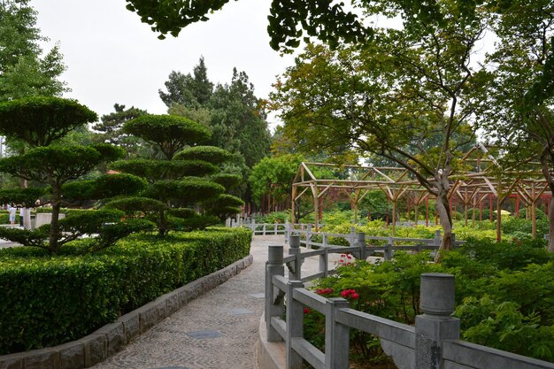 Vue du jardin dans le parc
