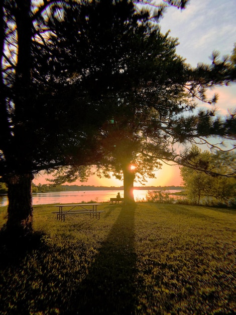 Photo vue du lac avec une belle prairie au coucher du soleil