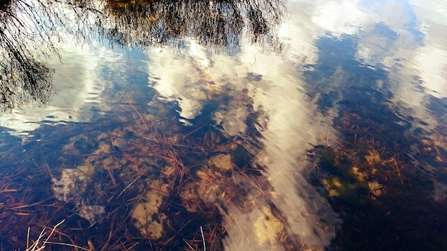 Photo vue du lac sous un angle élevé