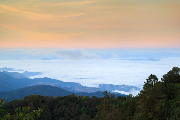 Vue du matin du mont Inthanon, Chiang Mai, Thaïlande