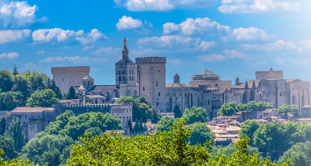 Vue du Palais des Papes de la ville d'Avignon France