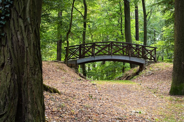 Vue du parc avec des chemins paysagers et un pont.
