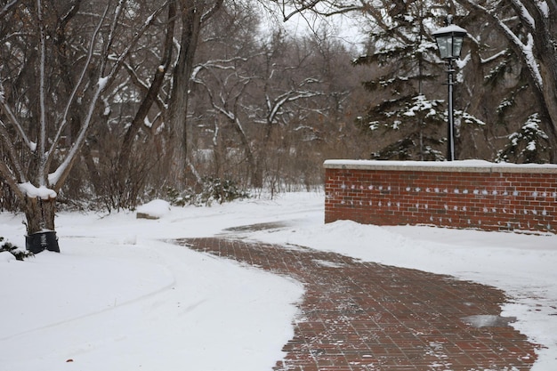 Photo vue du parc d'hiver près du lac dans la ville canadienne de regina