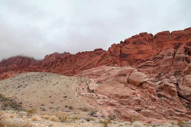 Vue du parc national du canyon de roche rouge au jour de brouillard à Nevada, États-Unis.