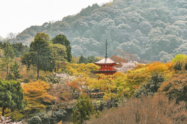 Vue du paysage au temple Kiyomizu-dera