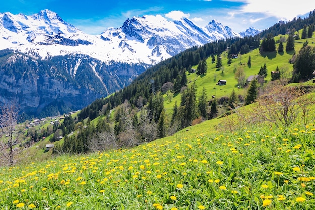 Vue du paysage dans les Alpes dans les villages de gimmelwald &amp; murren en Suisse