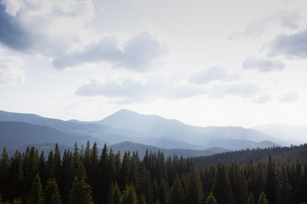 Vue du paysage de montagne dans les Carpates, Ukraine