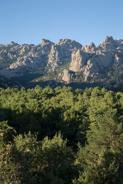 Vue du paysage de Pedriza à Madrid, Espagne