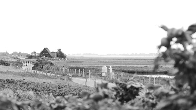 Photo vue du paysage rural