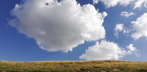 Photo vue du paysage sous angle bas contre le ciel