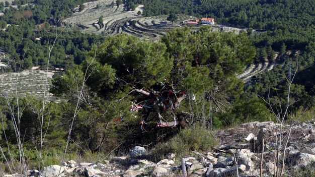 Vue du point de vue du col de Carasqueta province d'Alicante. Montais. Espagne. Vue sur les montagnes