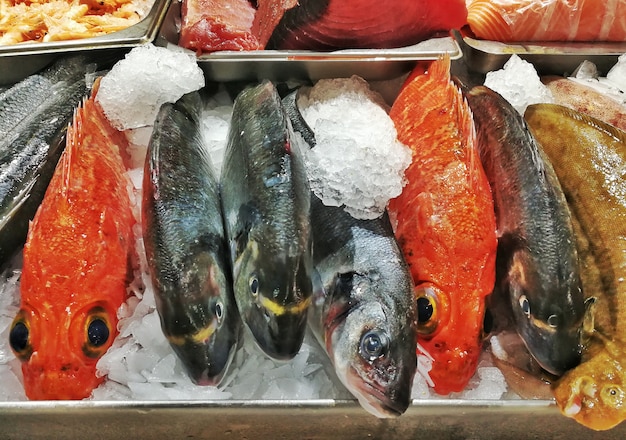 Photo vue du poisson frais sur la glace au marché