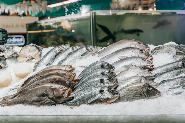 Vue du poisson à vendre sur le marché