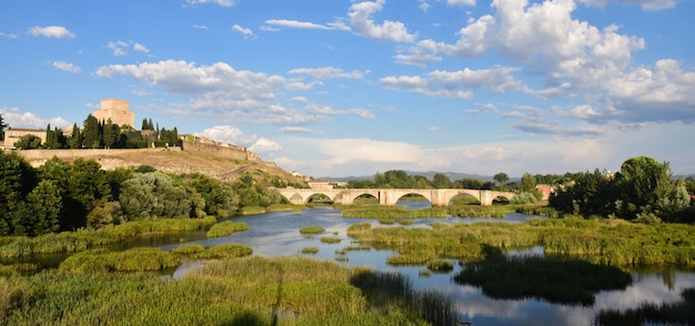 Vue du pont et du château de Henri II de Castille (XIVe siècle) et de la rivière Agueda, Ciudad Rodrigo, Castille et Léon, Espagne