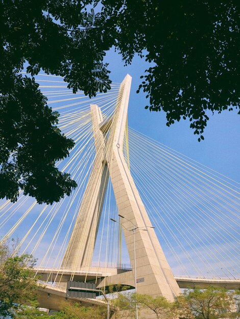 Photo vue du pont sous un angle bas