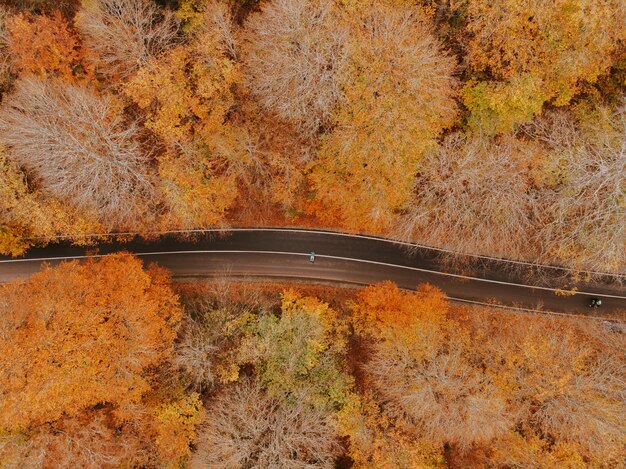 Photo vue du pont sous un angle élevé en automne