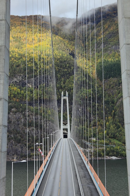 Photo vue du pont suspendu