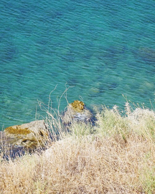 Photo vue du rivage sous un angle élevé