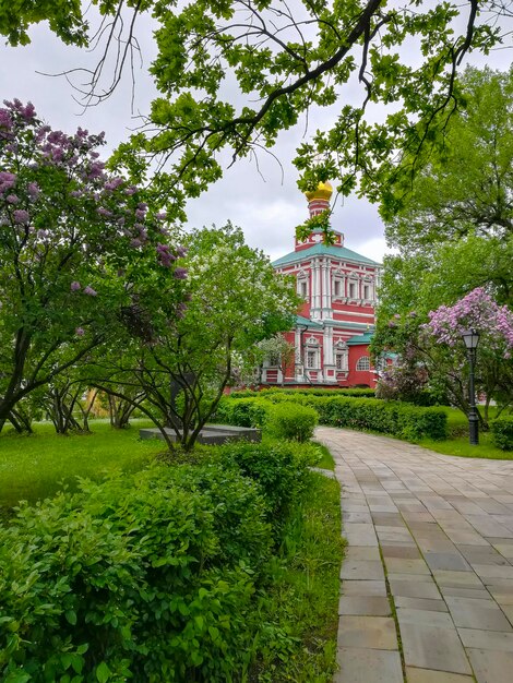 Photo vue du sentier dans le parc russe