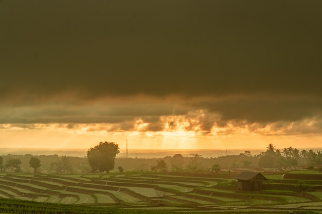 La vue du soir quand il pleut et que le coucher de soleil se lève brillant dans les rizières